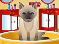 Petz Fashion играть онлайн