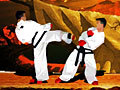 TaeKwon-Do играть онлайн