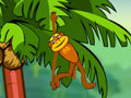 Spider Monkey играть онлайн