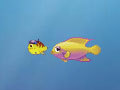 Growing Fish играть онлайн