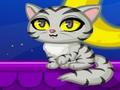 Purrfect Kitten играть онлайн