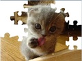 Cute Cat Puzzle играть онлайн