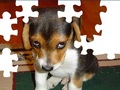 Cute Dog Puzzle играть онлайн