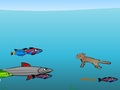 Fish CATcher играть онлайн