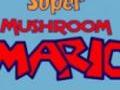 Super Mushroom Mario играть онлайн