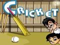 Galli Cricket играть онлайн