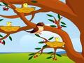 Bird Feeding играть онлайн