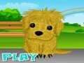 Puppy Needs Owner играть онлайн