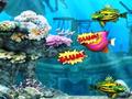 Big Fish Eat Small Fish играть онлайн