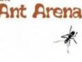 Ants Arena играть онлайн