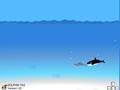 Dolphin Hunt играть онлайн