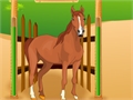 Horse Care Apprenticeships играть онлайн