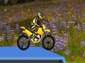 Hillblazer FMX играть онлайн