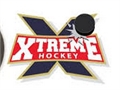 Xtreme Hockey играть онлайн